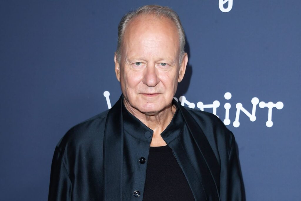 Stellan Skarsgård, 74, Gives Health Update 3 Years After He Suffered a Stroke (Exclusive)