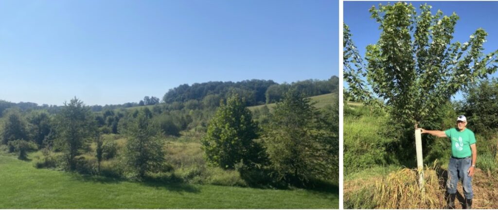 Bud & Marilyn Miller Plant 11 Acres Of Trees And Shrubs To Protect Their Farm Stream In Berks County