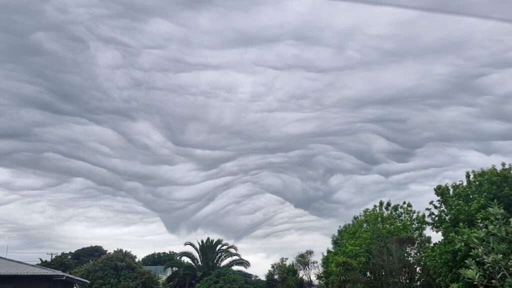 Asperitas clouds: ‘Wavy’ clouds caused by thunderstorms seen across New Zealand skies Asperitas clouds: ‘Wavy’ clouds caused by thunderstorms seen across New Zealand skies