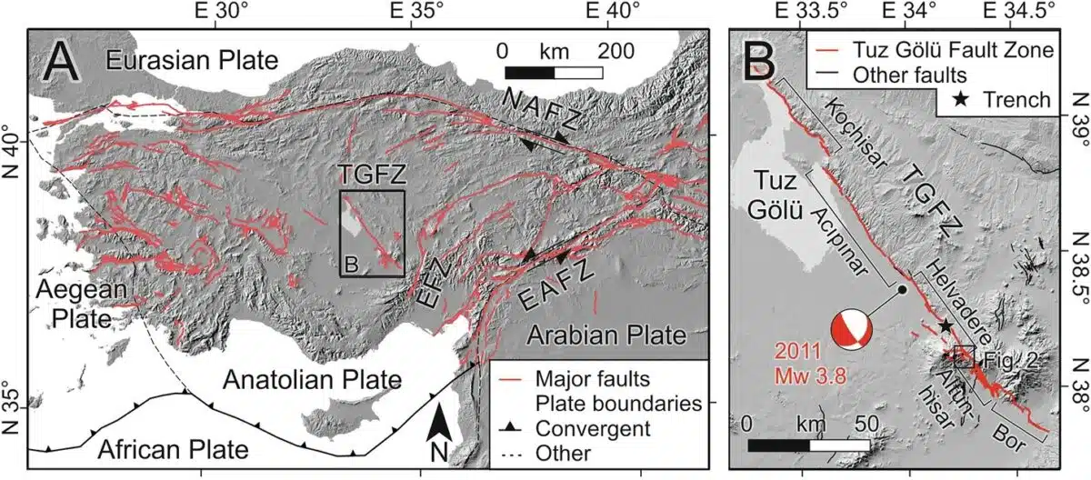Tectonic Framework Of Anatolia And The Tuz Gölü Fault Zone