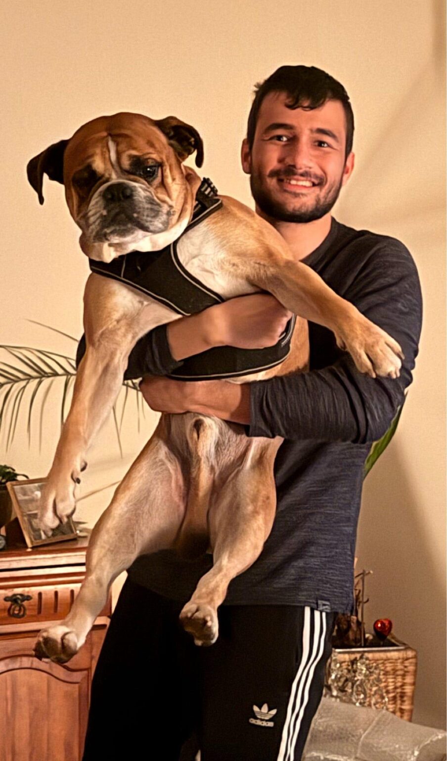 How much of ‘who we are’ lives in the microbiome? An accidental N=1 experiment on my dog