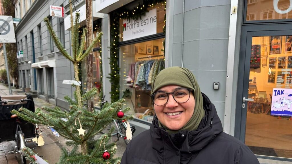 Shop owner has procured Christmas trees for busy street: 'Everyone must decorate - whether it's a Ramadan hanging or grandma's old Christmas stocking' >Nørrebrogade, Kbh is decorated for Christmas at the behest of a Muslim]