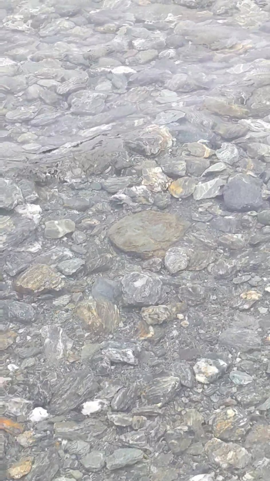 Lake Wanaka, New Zealand