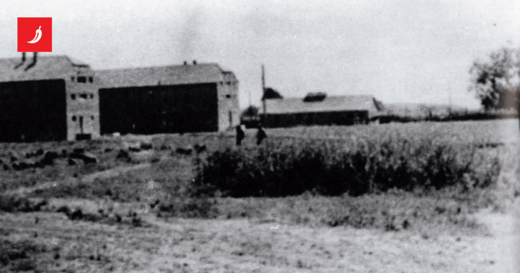 Few victims were found in Jasenovac. Scientists explain why
