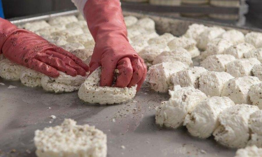 Halloumi overtakes pharmaceuticals to become Cyprus’ second-biggest export