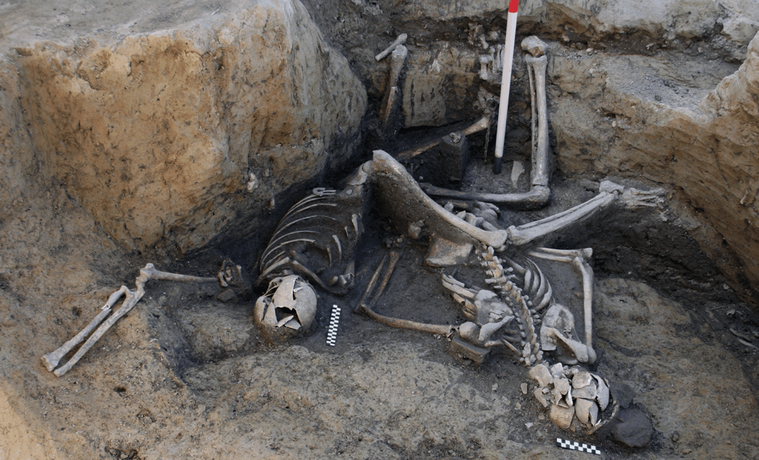A Mysterious Mass Grave Was Found In Croatia, Scientists Just Revealed Who Was Buried Inside