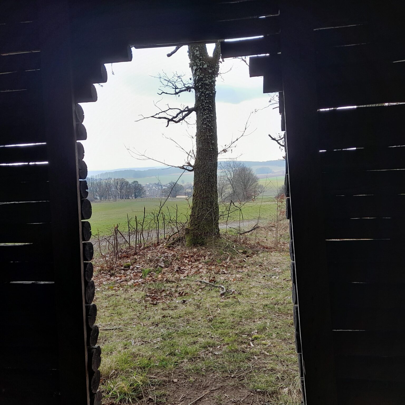 I'm Outdoor but Indoor