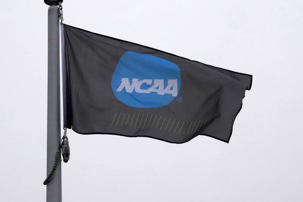 COLUMBIA, MISSOURI - NOVEMBER 21: A NCAA logo flag at the NCAA Cross Country Championships at the Gans Creek Cross Country Course on November 21, 2025 in Columbia, Missouri. (Photo by Kirby Lee/Getty Images)