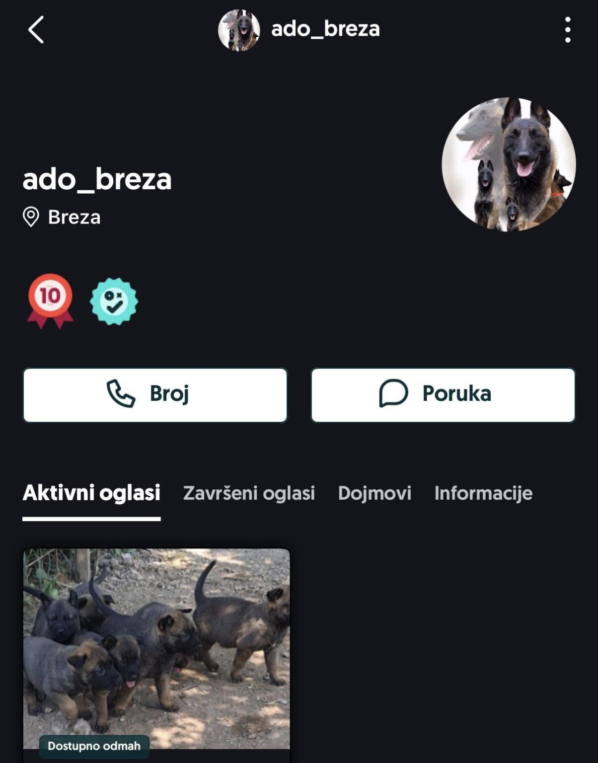 BEWARE: Belgian Shepherd Malinois FRAUD "ado_breza"