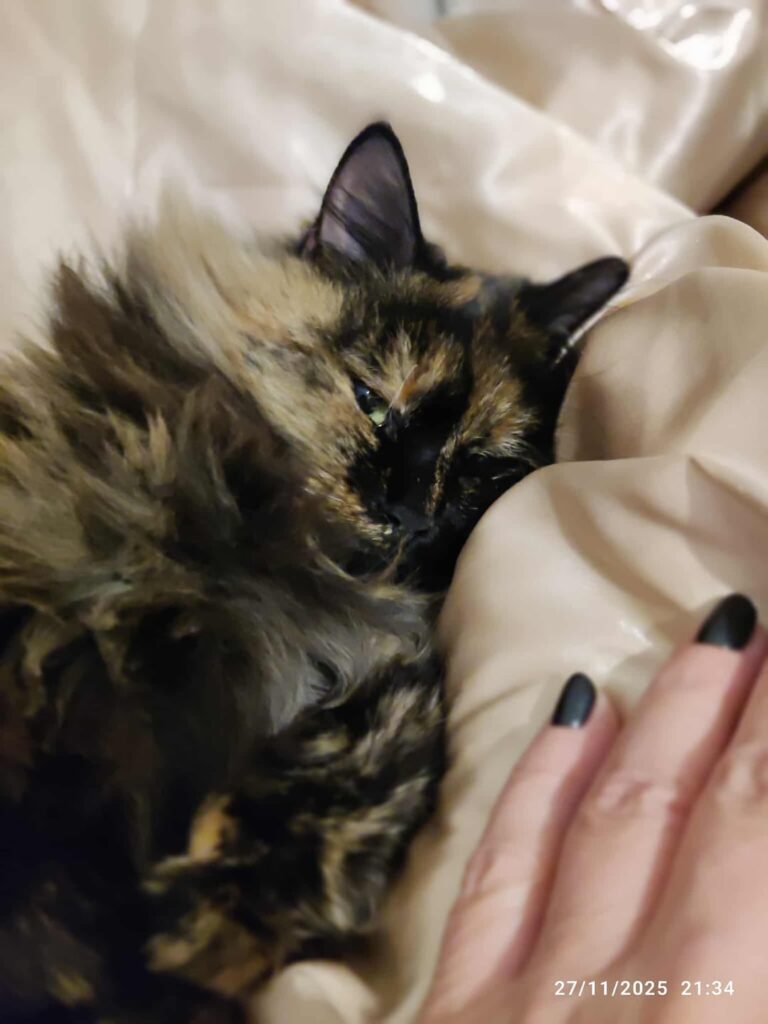 Catbot