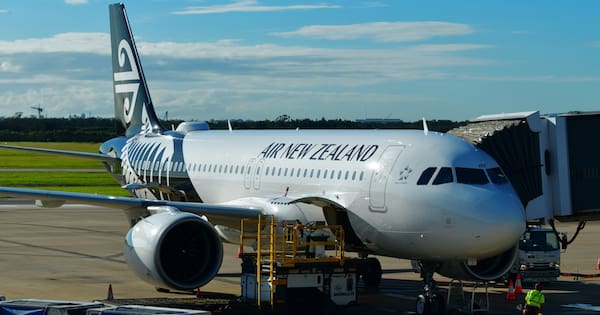 NZ flights grounded due to global issue with Airbus A320 planes