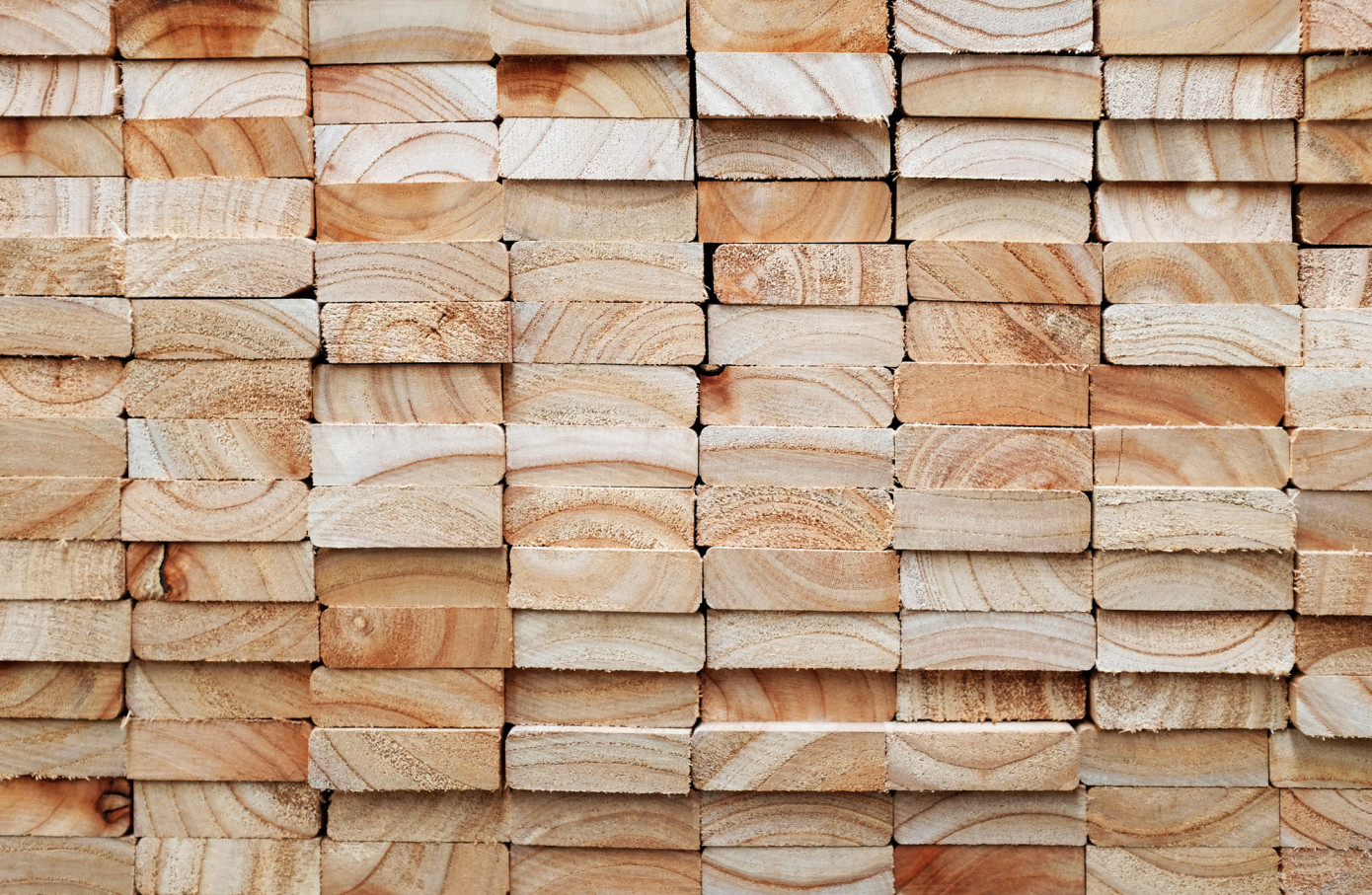 In September, price for lumber imported to Italy loses 10%