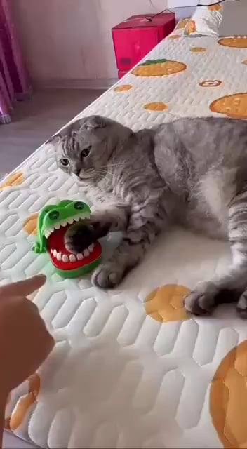 Catbot