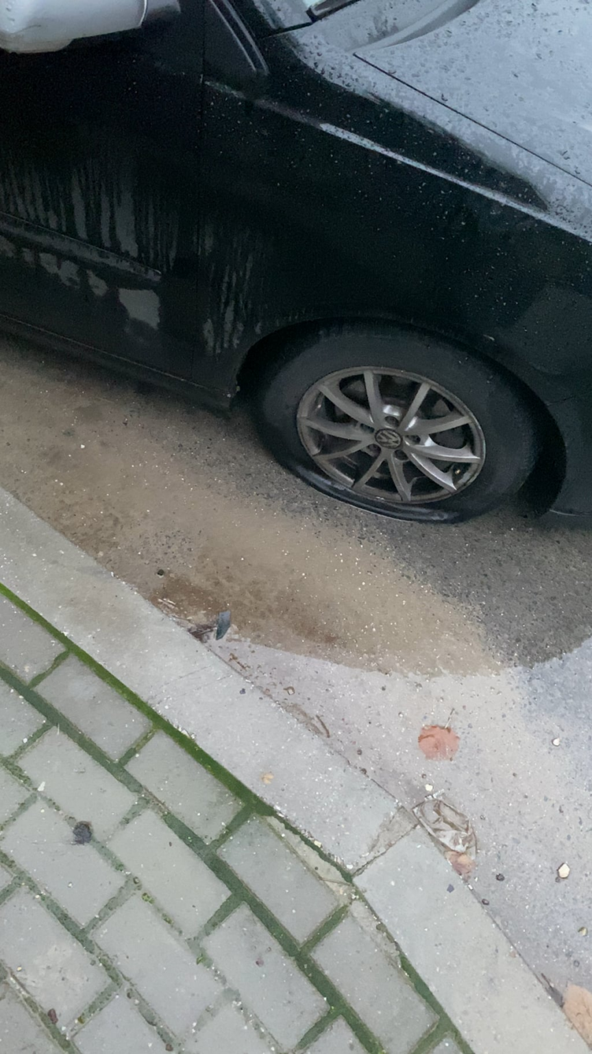 Alexandria settlement