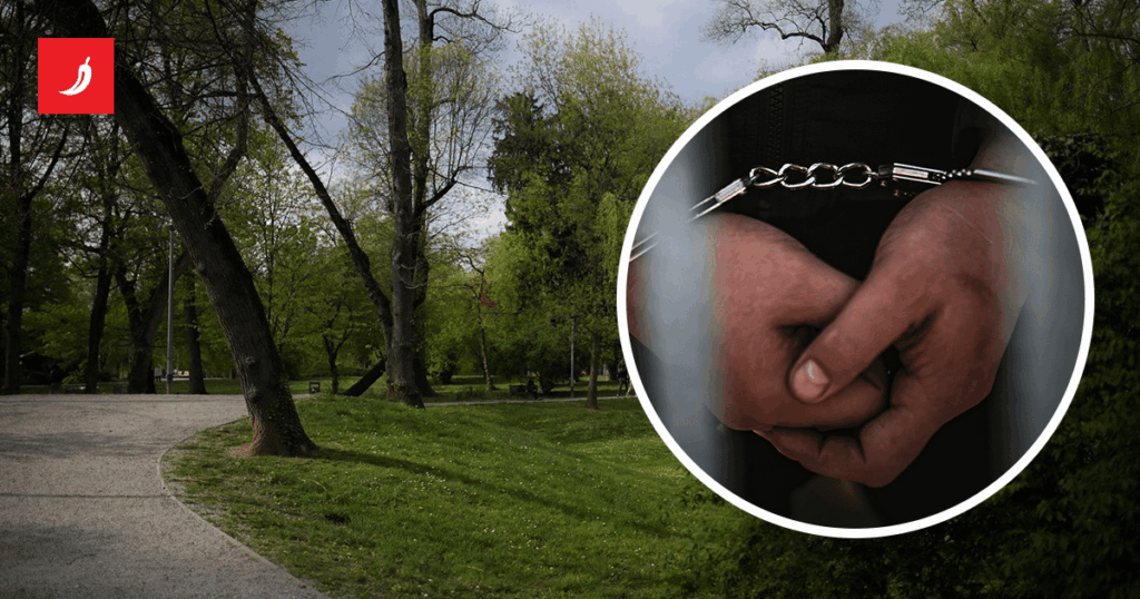 A foreign worker raped a Japanese woman in the center of Zagreb. He received five years in prison