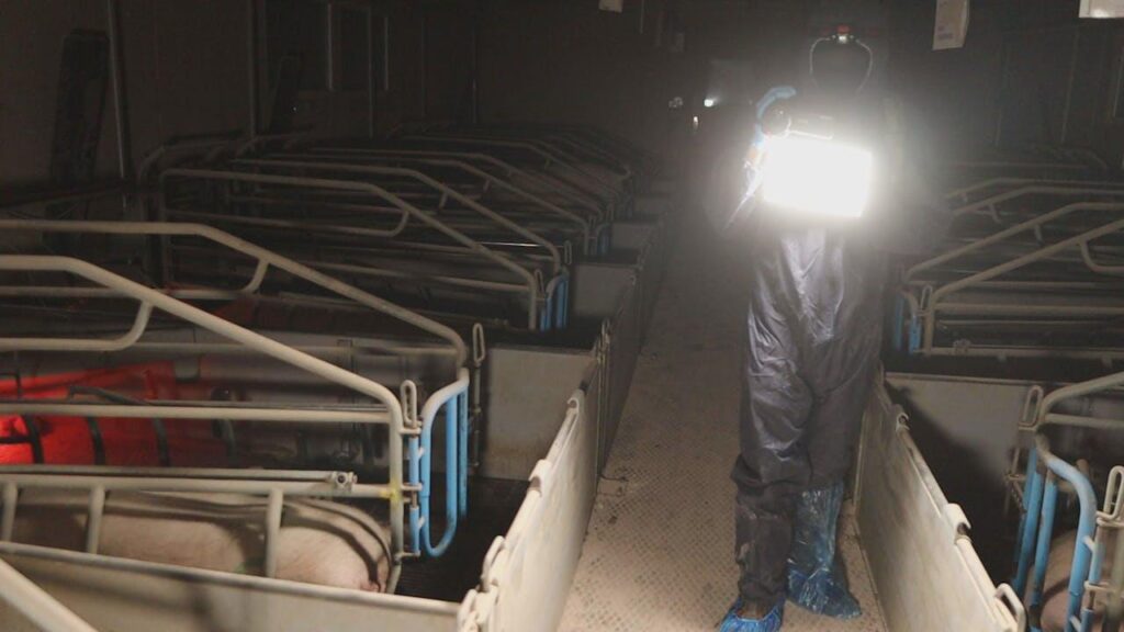 Farmers furious over activists filming in their barns