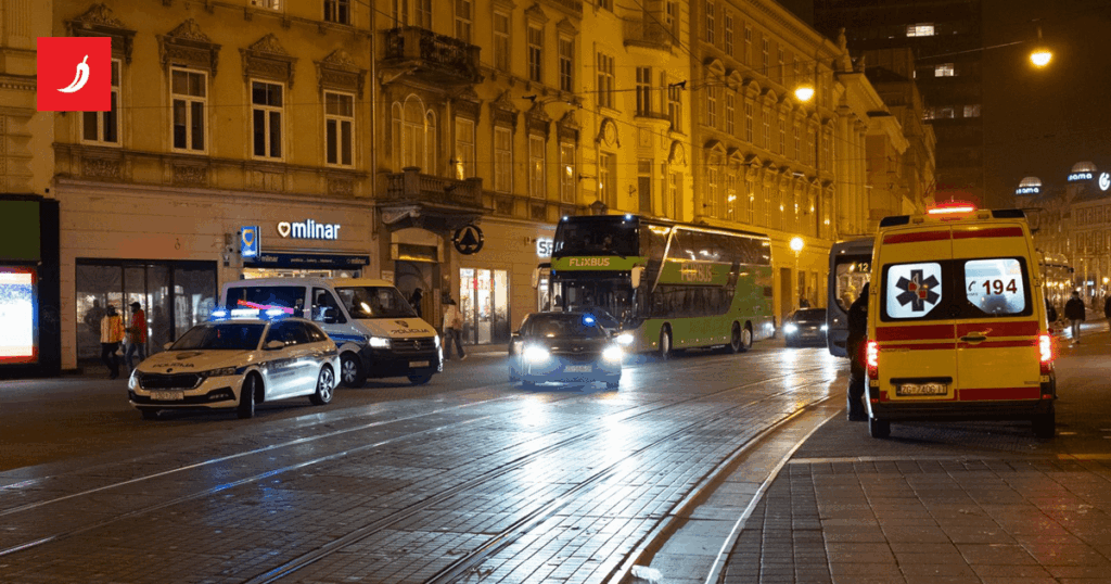 The principal of the Split school announced about the fight in Zagreb. There are more and more details