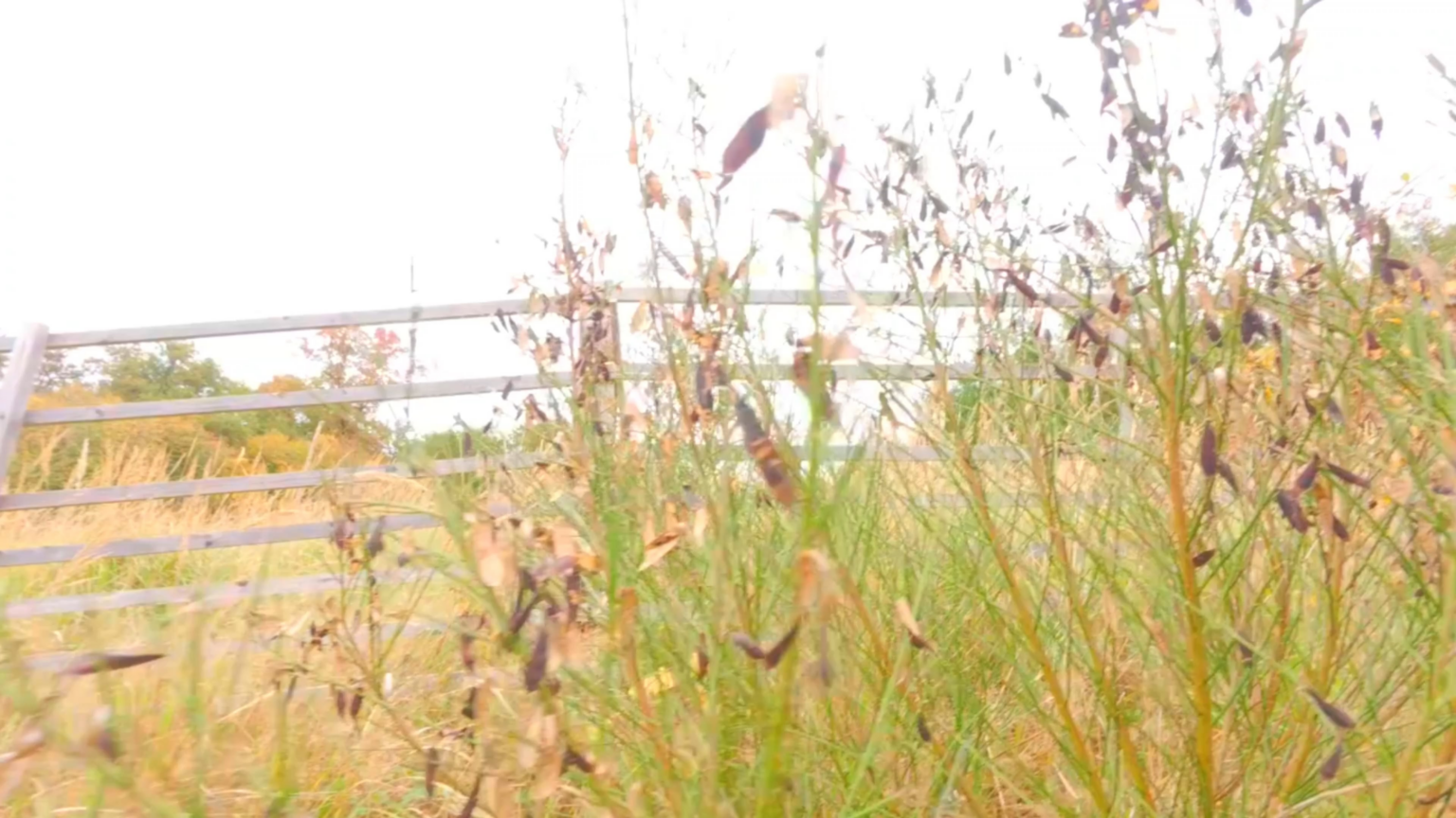 Das Rauschen des Wassers