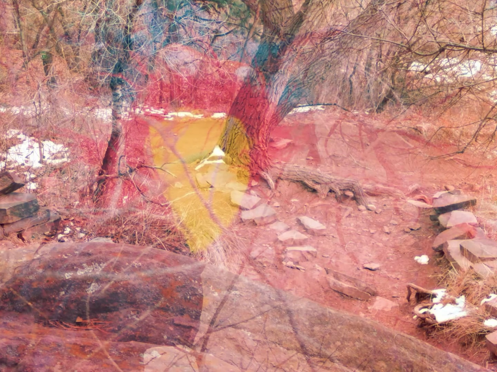 Filmed at Sanitas Park in Colorado