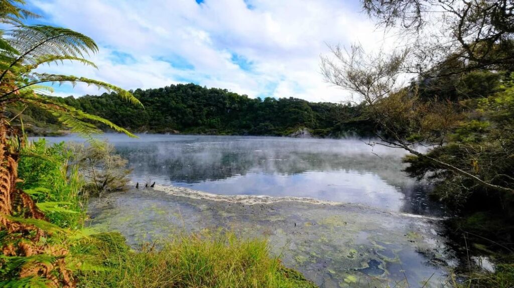 The Waimangu Volcanic Valley, the only geothermal park near Rotorua, New Zealand.
