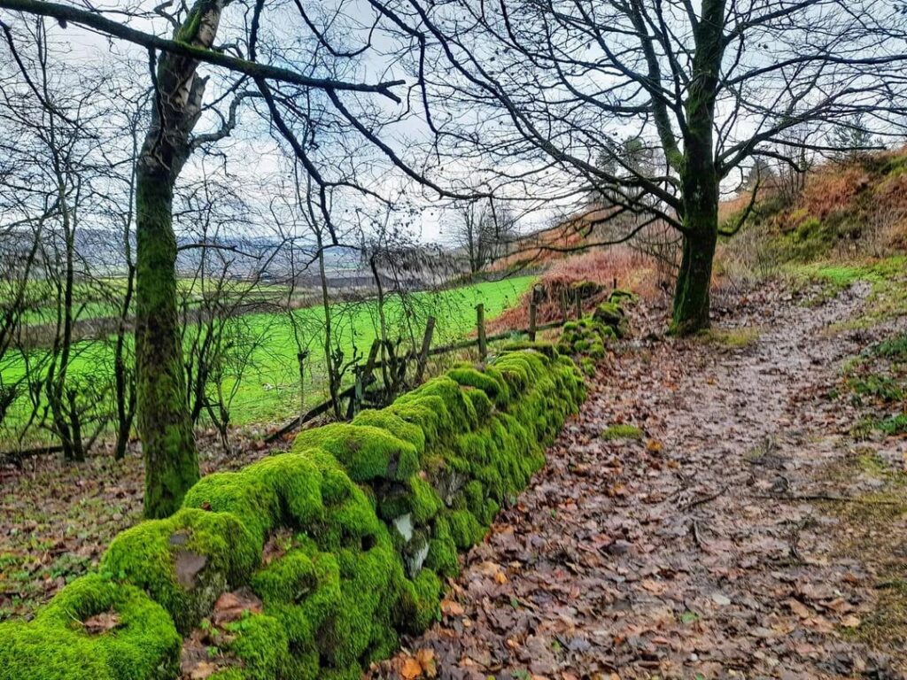 A short walk to reach the top and enjoy the view