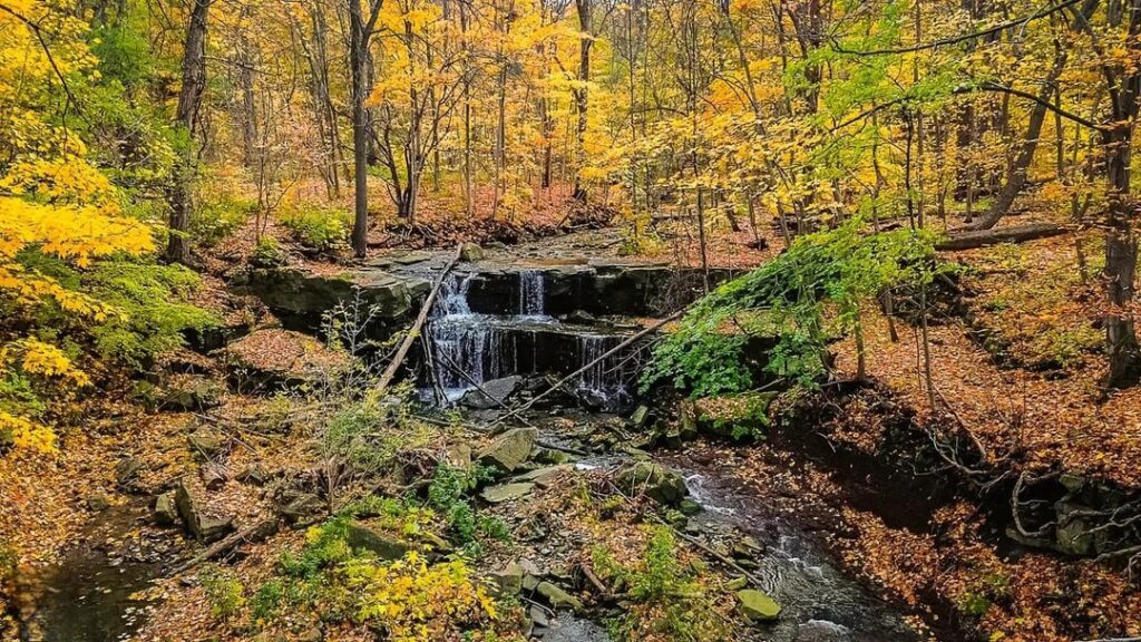 Autumn adventure with an unexpected encounter