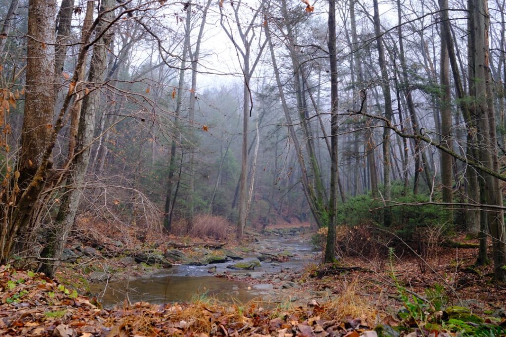 November in Pennsylvania