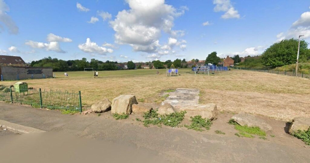 Boy, 5, hospitalised after being mauled by ‘bull breed’ dog