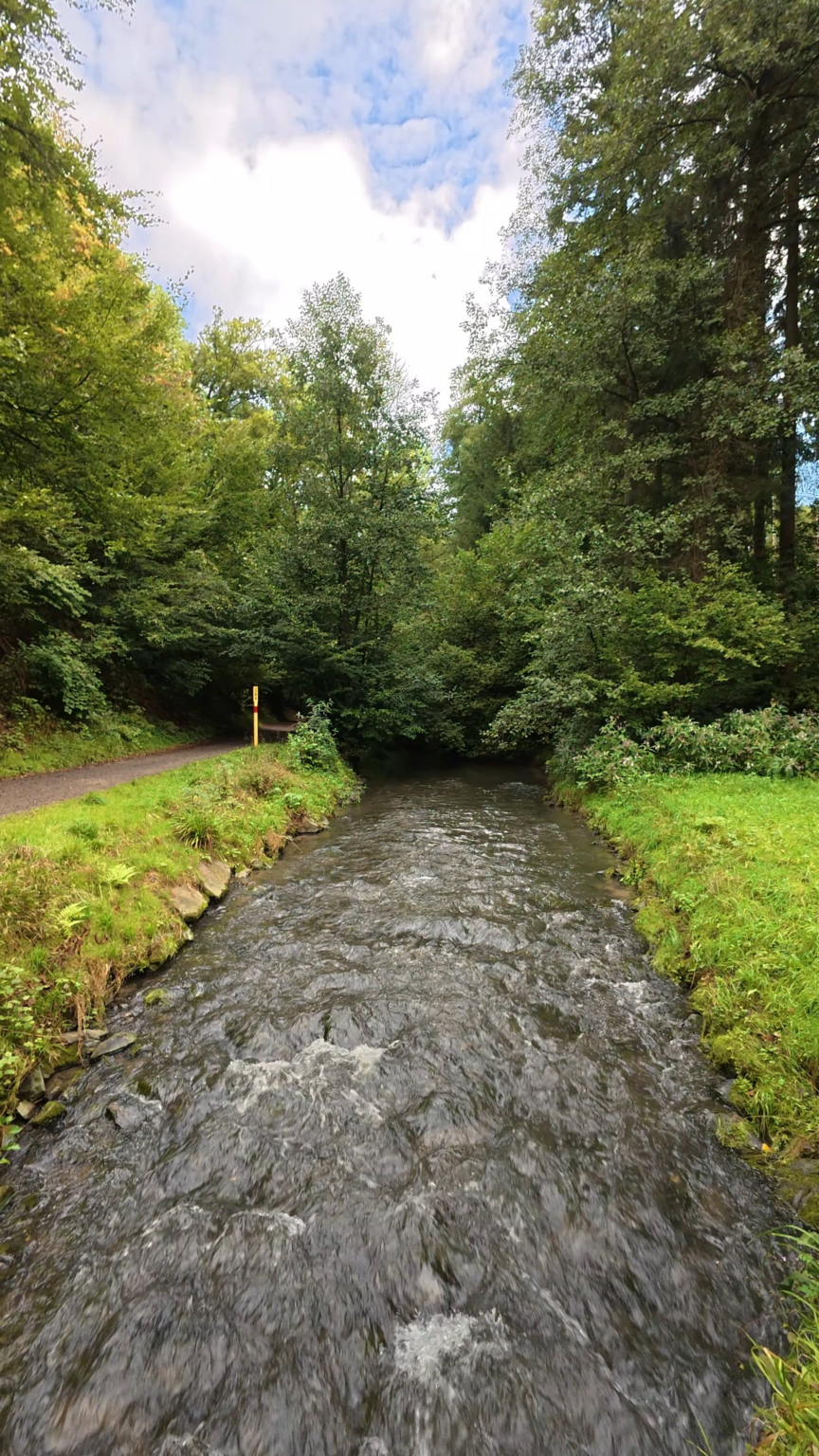 Echoes of the River.