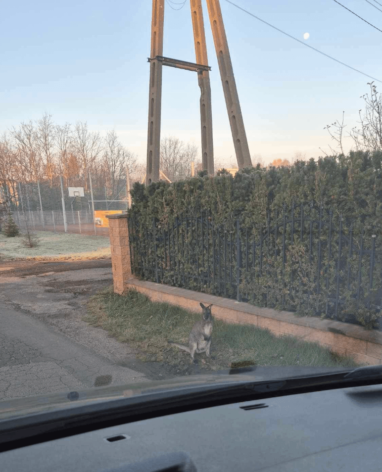 A tourist visiting Częstochowa today