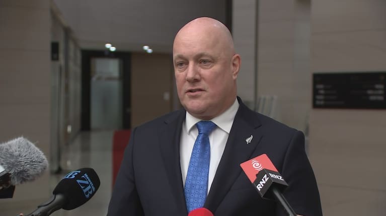 Prime Minister Christopher Luxon (file image).