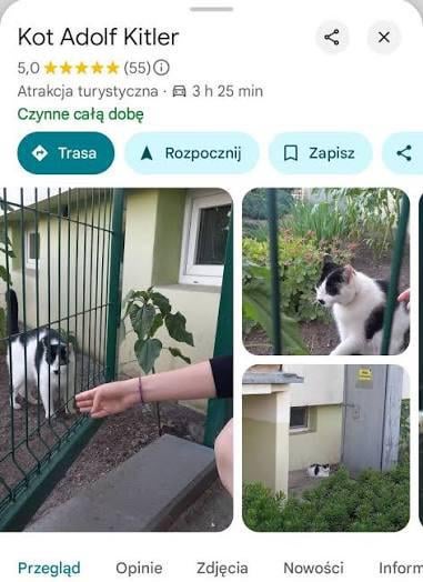 What happened to Adolf Kitler from Bydgoszcz?