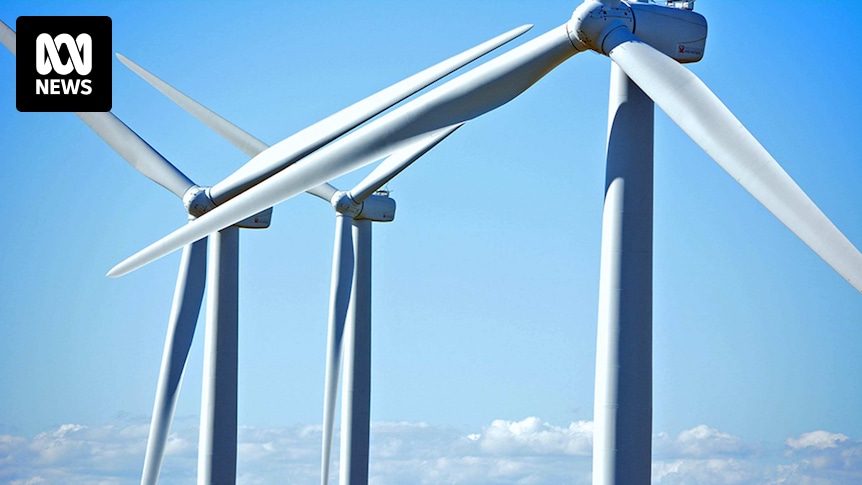 Rainforest Reserves Australia questioned over submissions against Moonlight Range Wind Farm Rainforest Reserves Australia questioned over submissions against Moonlight Range Wind Farm