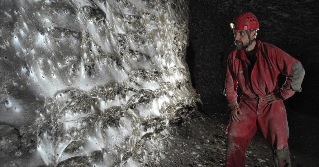 110,000 Spiders Discovered in Sulfur Cave