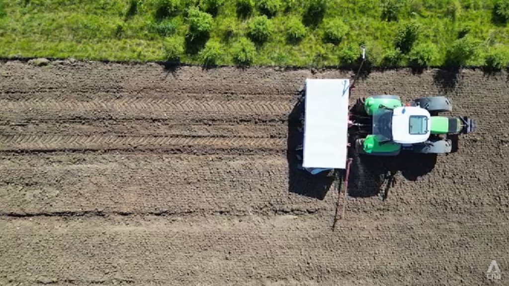 Denmark converts farmland to forest in bid to revive nature – and Europe’s climate ambitions