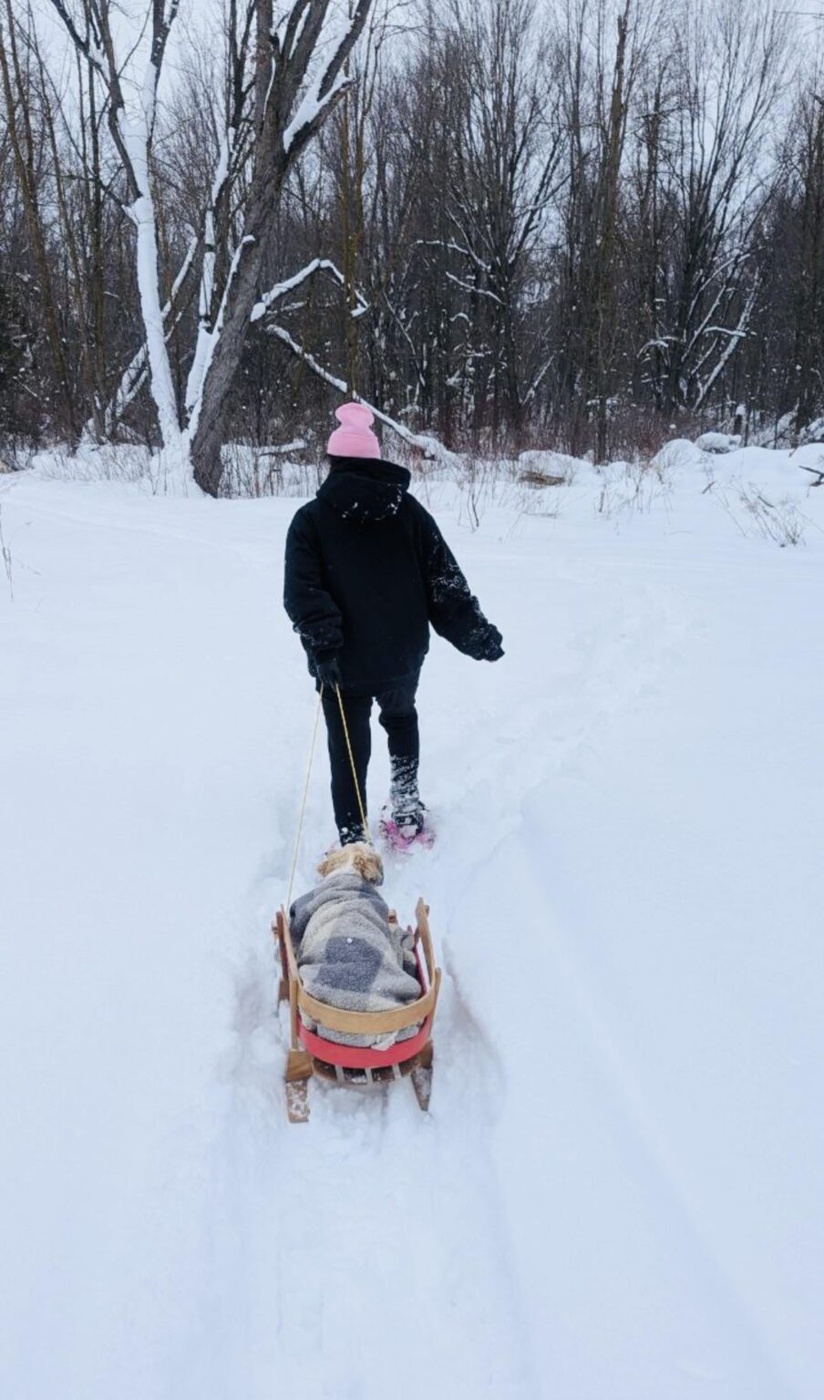 When life gives you snow, go snow shoeing!