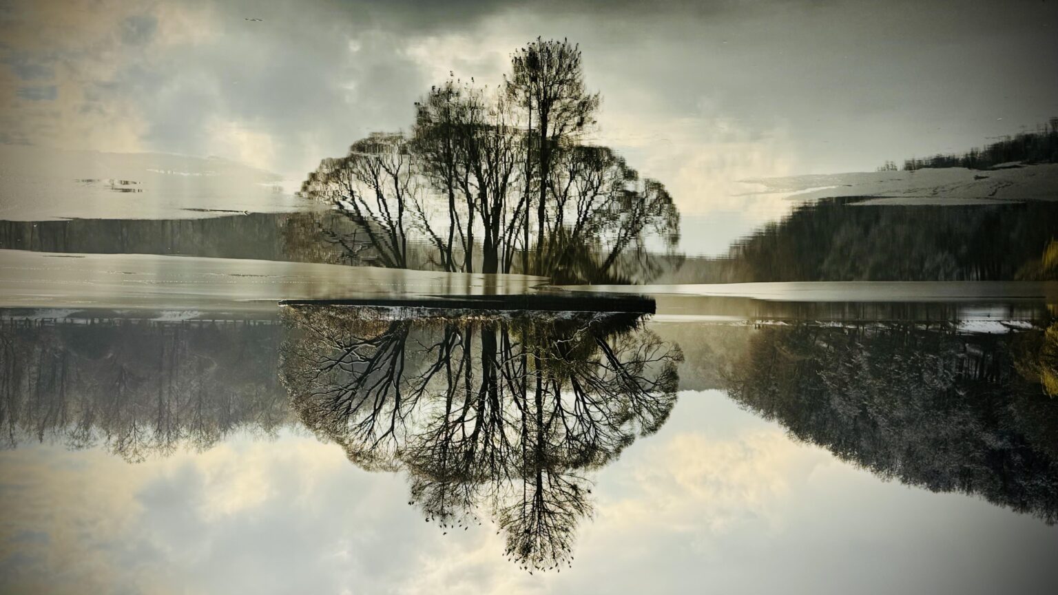 Bird Island. Upper Tsaritsynsky Pond. Moscow, Russia