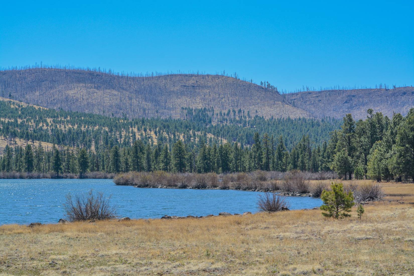 Tunnel Reservoir in the high country of the White Mountains in Greer, Arizona.