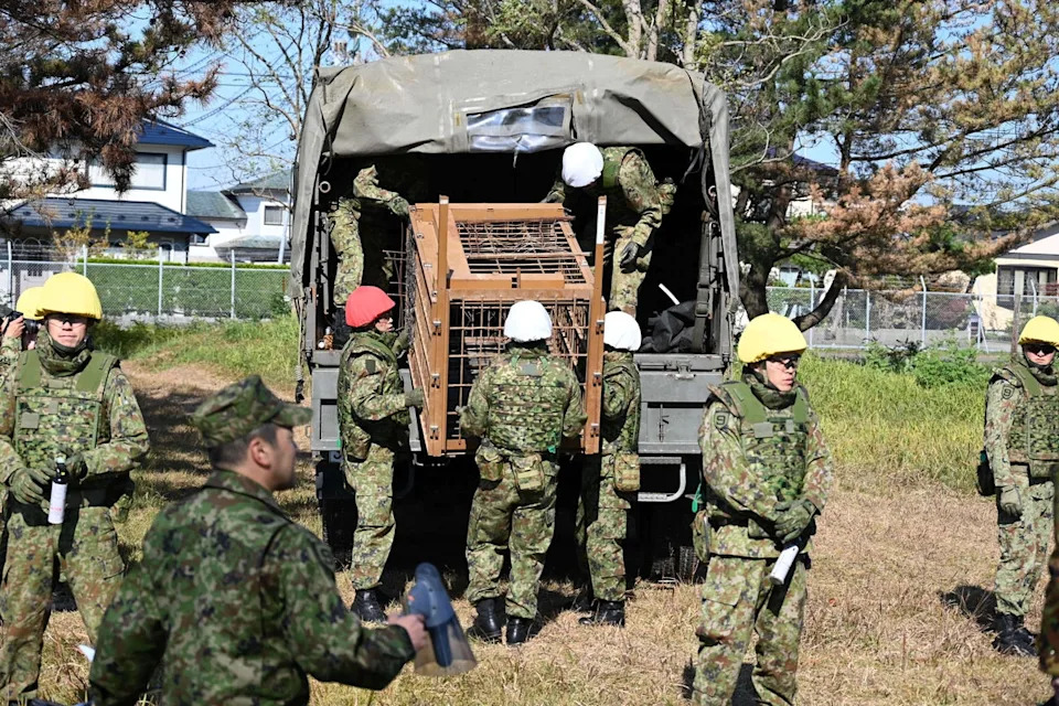 In this photo provided by the Japan Self-Defense Forces Akita Camp, Self-Defense forces personnel unload a bear cage from a military truck in JSDF Akita Camp, Akita, northern Japan, Thursday, Oct. 30, 2025. (JSDF Akita Camp via AP)