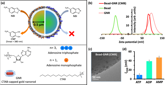 Researchers discovered a way to direct the movement of microscopic particles using enzymes that switch chemical fuel on and off [Jan 2024]