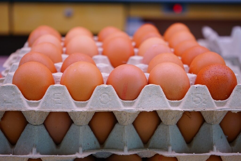 UK’s Sunrise egg company acquired by Agrova of Latvia