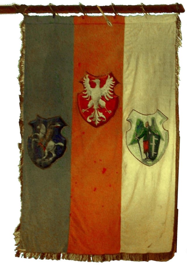 Blue and white flag as a possible regional identity of Belarus? What do you think?