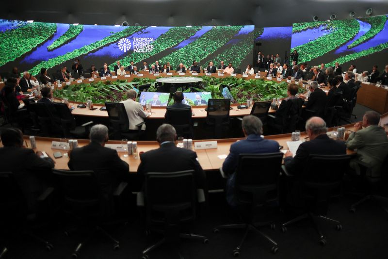 Exclusive-Norway to invest $3 billion in the TFFF forest conservation fund