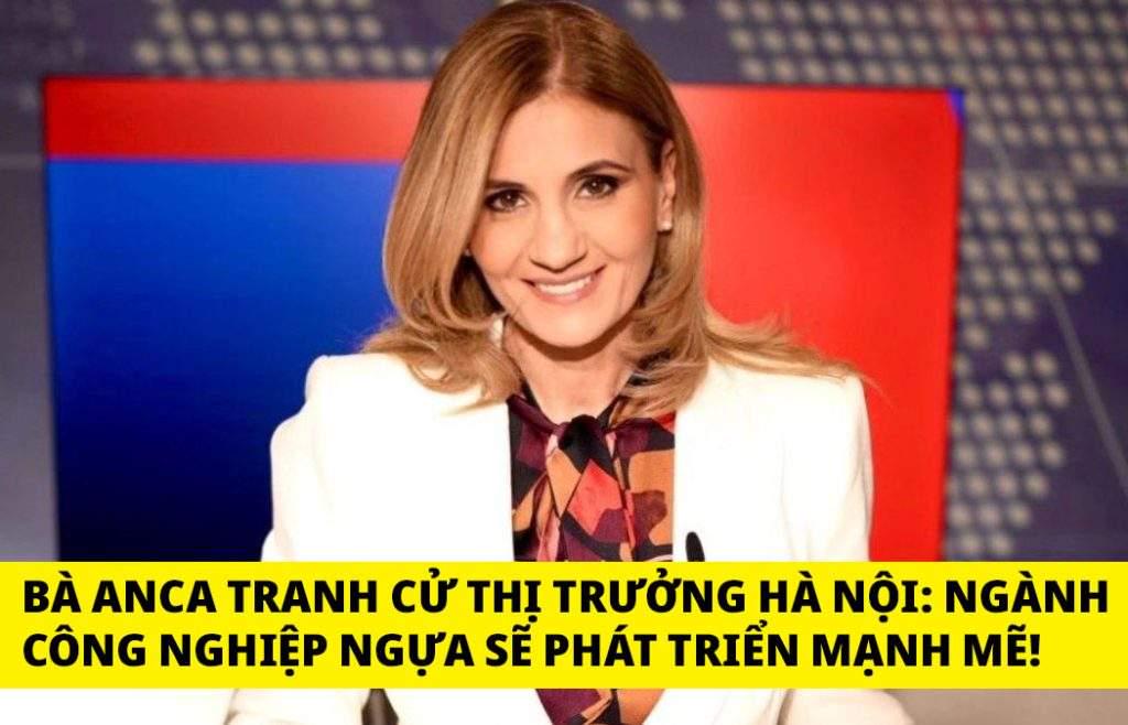 How many Vietnamese support her on FB, Anca Alexandrescu decided to run for Hanoi mayor's office