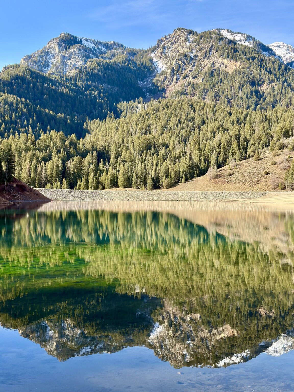 Earned my afternoon Thanksgiving dinner with this morning's hike, Tibble Fork, Utah, USA