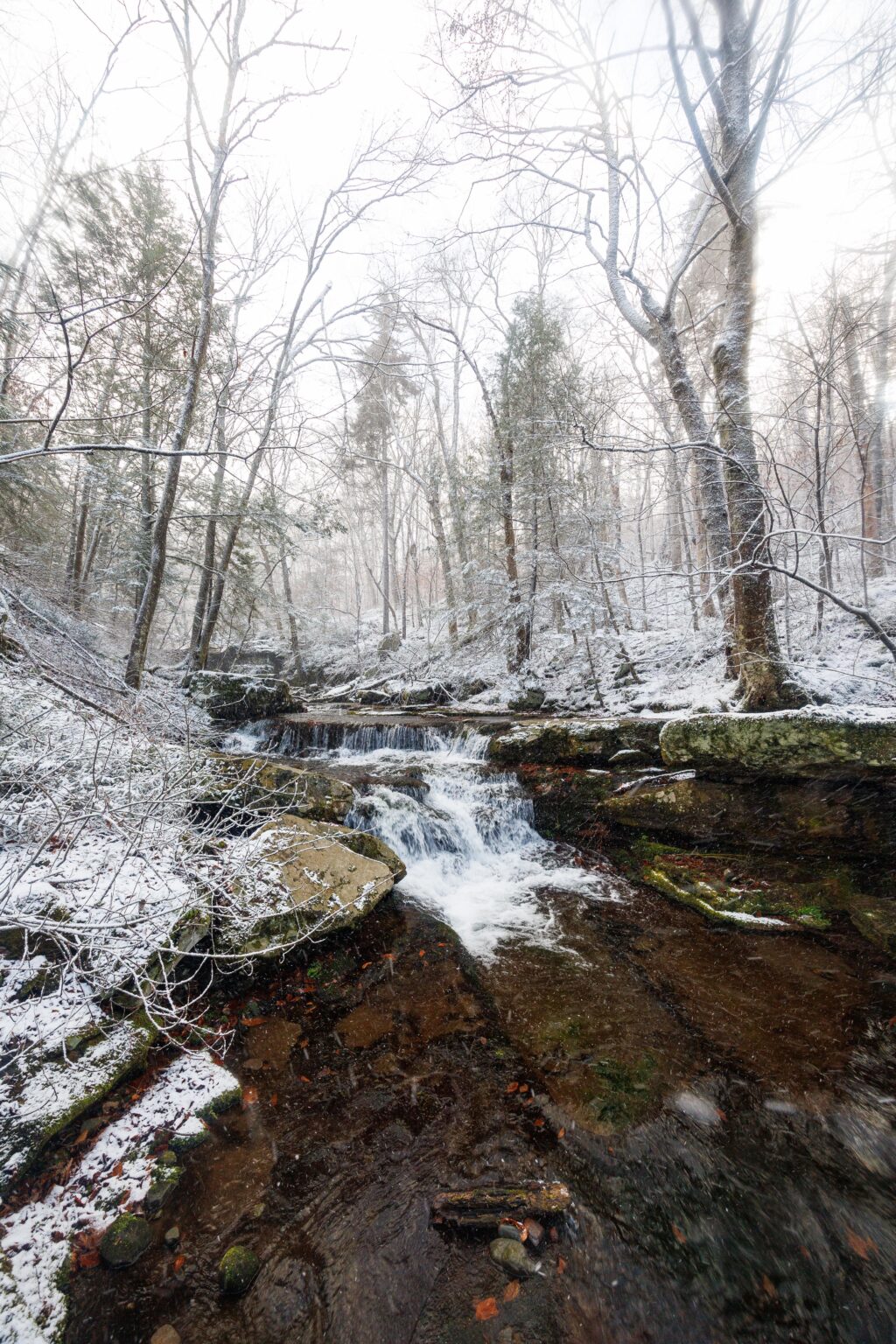 Fresh powder, catskills NY, USA, 4023x6035,