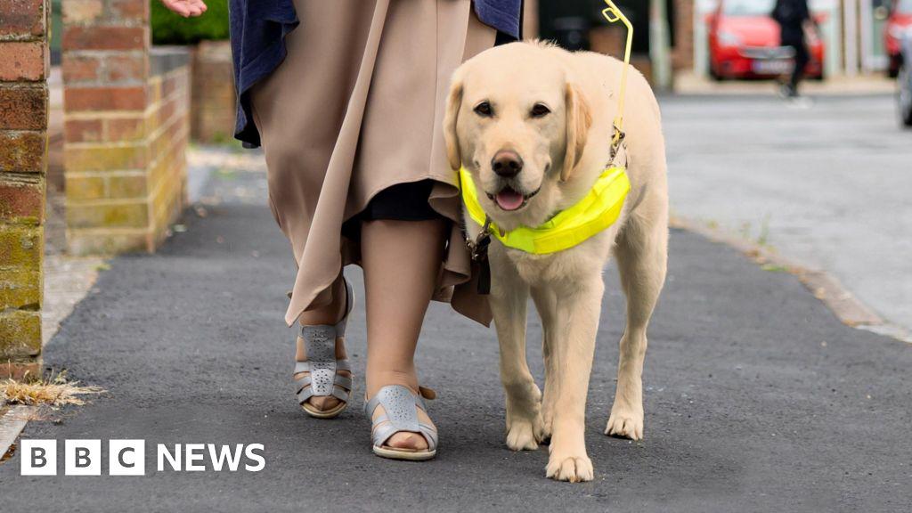Bradford Uber taxi drivers lose licences for refusing guide dog