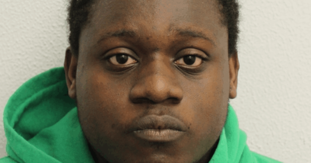 East London paedophile who described raping 12-year-olds as 'best sex ever' could have 100s of victims