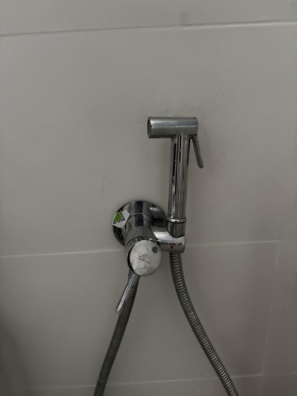 Bathroom shower>bidet