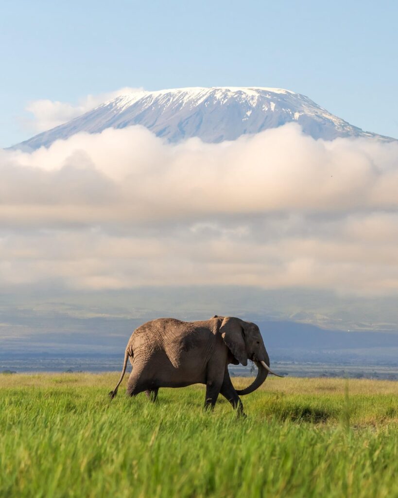 One day I want to climb Mt. Kilimanjaro
